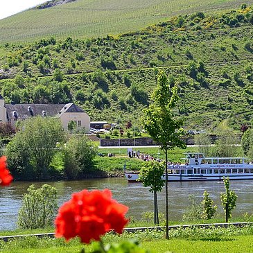 Ausblick zum Kloster Machern