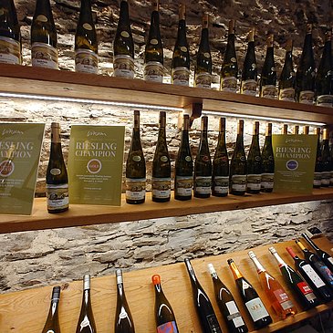 Weingut-Vinothek1