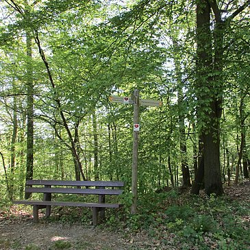 Rast inmitten der Natur