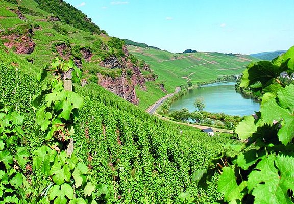 Ürzig