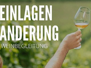 Weinlagenwanderung