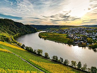 Ausblick ins Moseltal bei Piesport