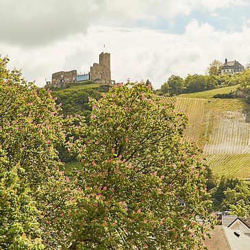 Susannes Burgblick_Aussicht