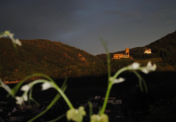 Blick von der Terrasse auf Burg Landshut