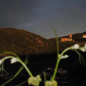 Blick von der Terrasse auf Burg Landshut