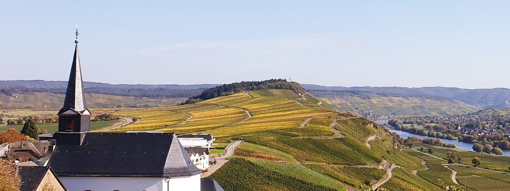 Die Weinberge im Herbst