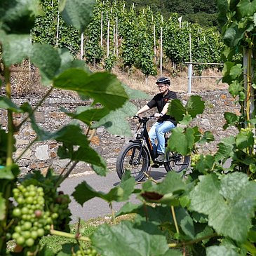Radfahren inmitten der Weinberge