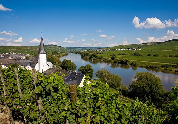 Blick durch die Weinberge auf Kesten