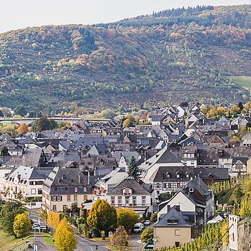 Gemeinde Zeltingen-Rachtig