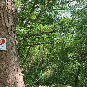 Wegbeschilderung entlang des Weges