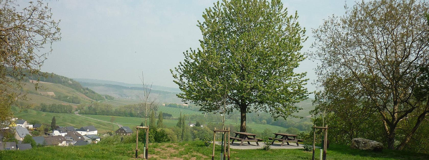 Rastplatz oberhalb von Burgen