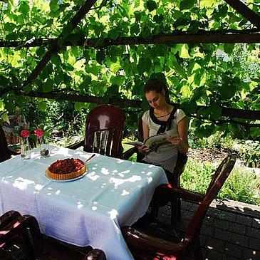 Weinrebenpergola
