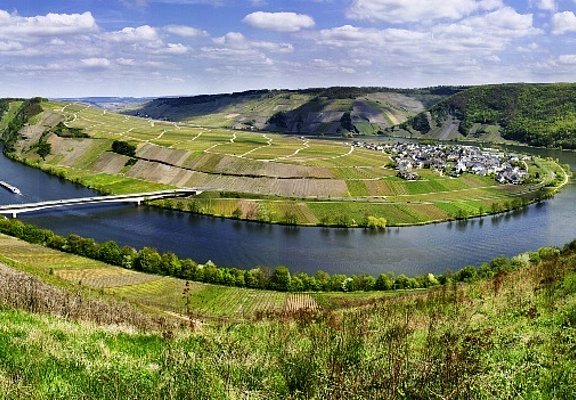 Ausblick von Zimmet