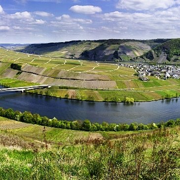 Ausblick von Zimmet