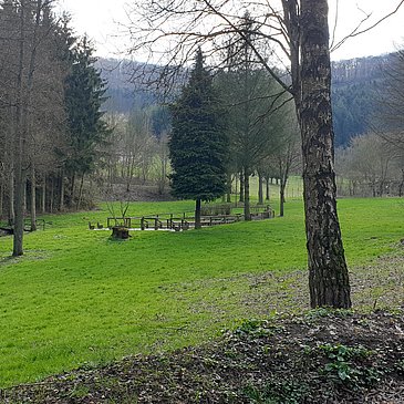 Wassertretbecken in der Nähe des Sauerbrunnen