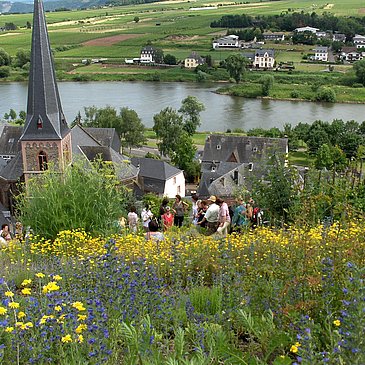 Fürhung im Gewürzgarten