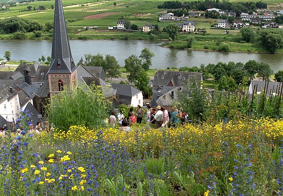 Fürhung im Gewürzgarten