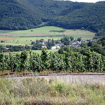 Aussicht in den Hunsrück