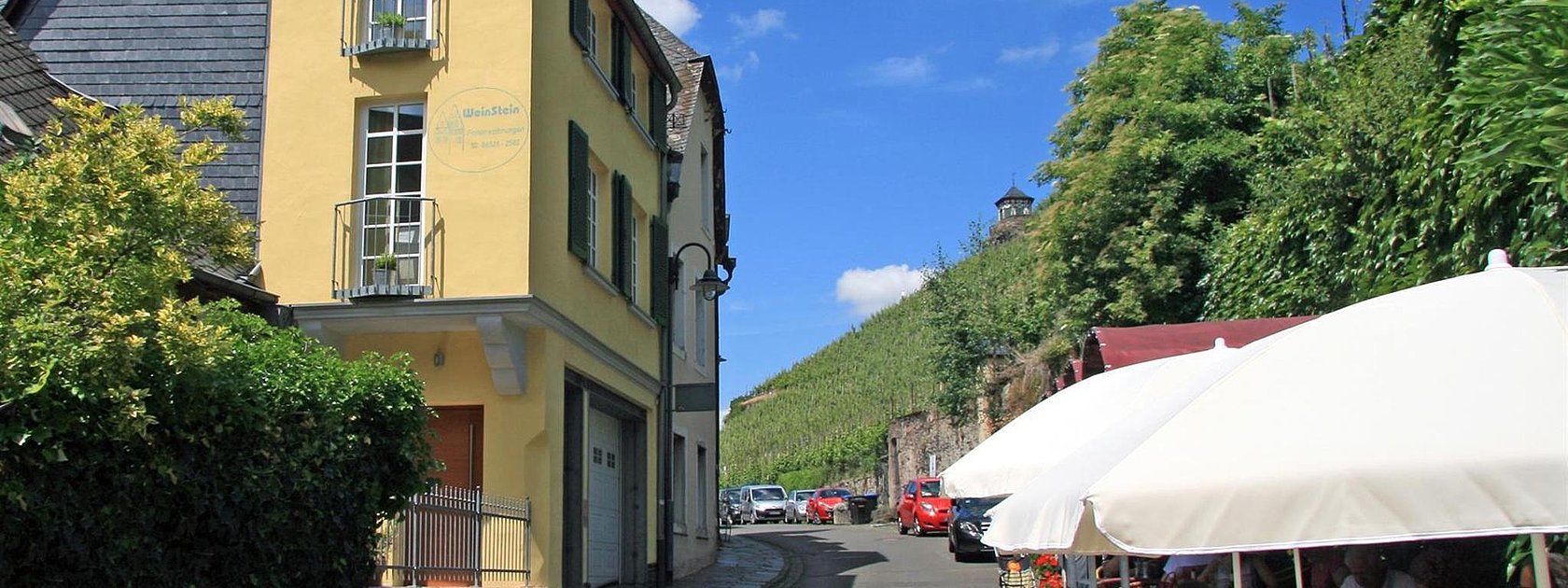 blick_auf_die_weinberge