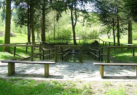 Wassertretbecken
