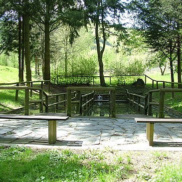 Wassertretbecken