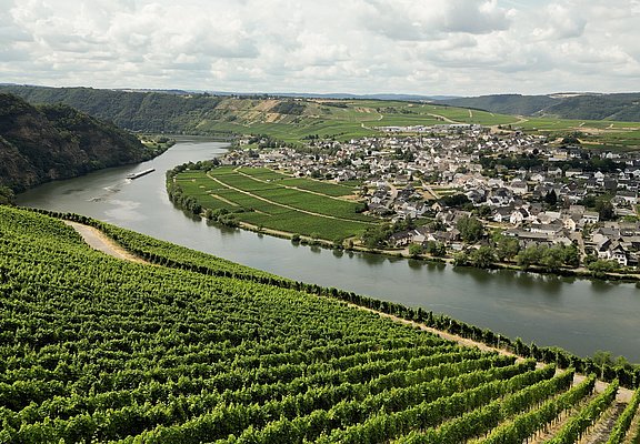 Piesport an der Mosel