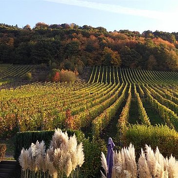 Sicht aus den Fewos in Südlage im Herbst