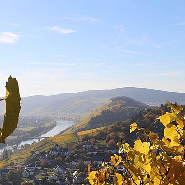 Blick auf Lieser
