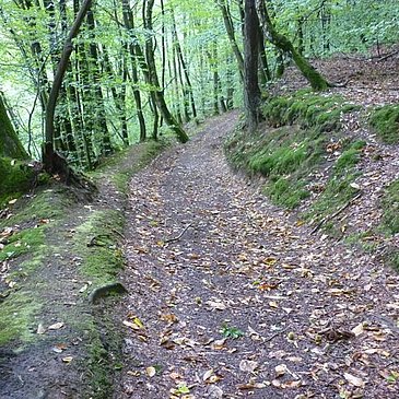 Waldweg oberhalb des Sirzenicher Baches
