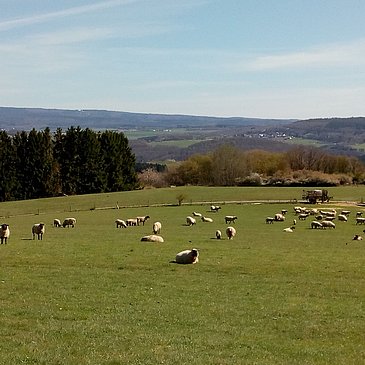 Hunsrückhöhen