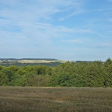 Ausblick auf die Wald- und Wiesenlandschaft