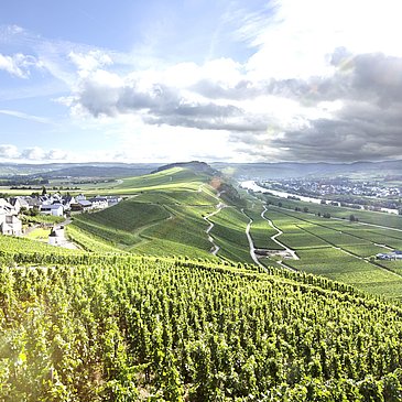 Aussicht