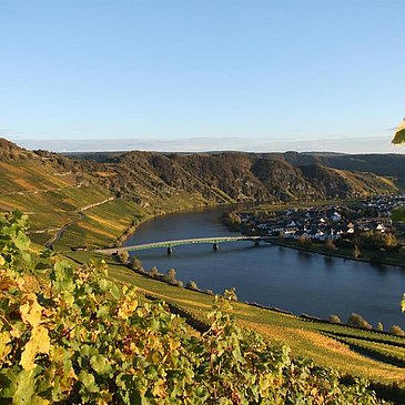 Mosel