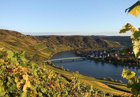Mosel