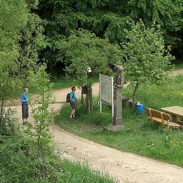 Zitronenkrämerkreuz