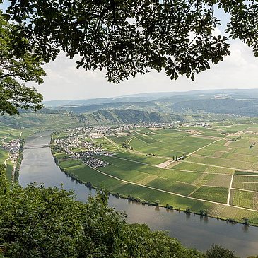 Moselblick 2