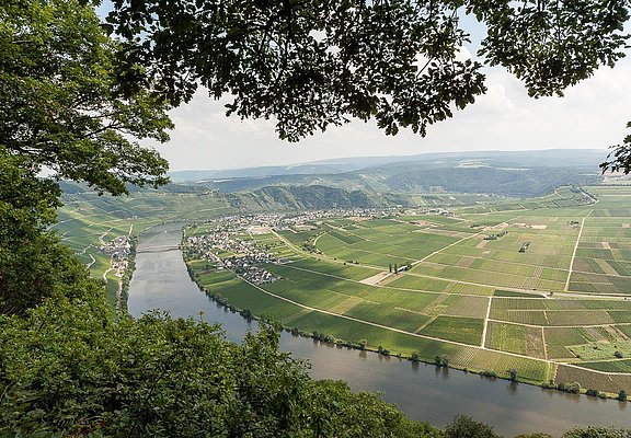 Moselblick 2